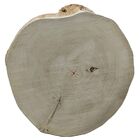 Bolacha De Madeira Tronco Arte E Decoração 31 X 31 X 6cm