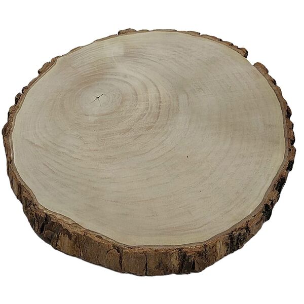 Bolacha De Madeira Tronco Lixada Arte E Decoração 38 X 35cm