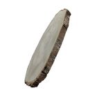 Bolacha De Madeira Tronco Lixada Arte E Decoração 42 X 36cm