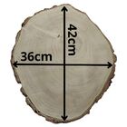 Bolacha De Madeira Tronco Lixada Arte E Decoração 42 X 36cm