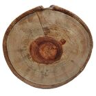 Bolacha De Madeira Tronco Lixada E Selada 27,5 X 26 X 4cm