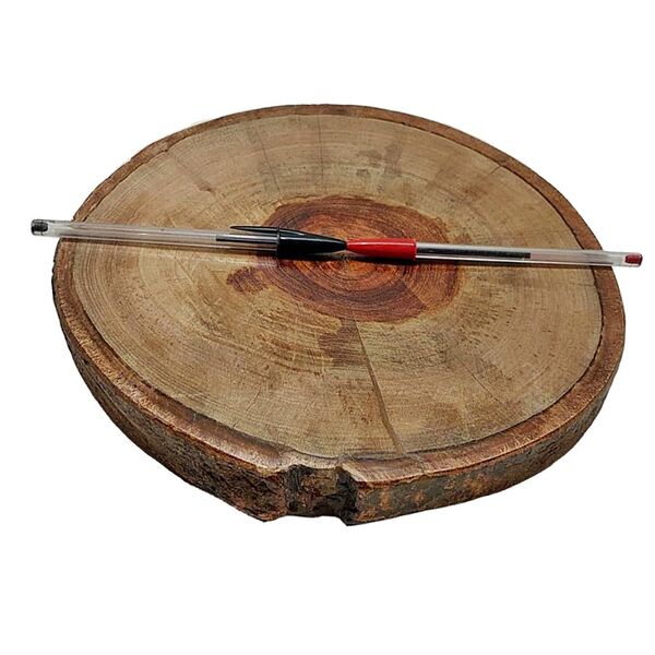 Bolacha De Madeira Tronco Lixada E Selada 27,5 X 26 X 4cm