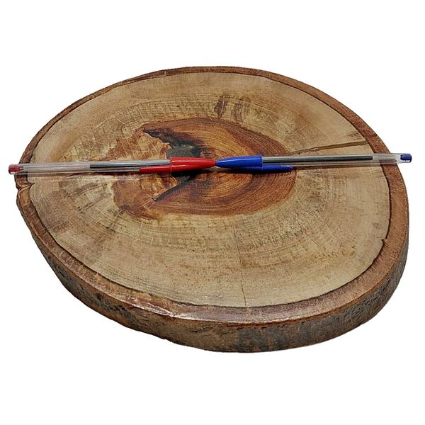 Bolacha De Madeira Tronco Lixada E Selada 28,5 X 26 X 4cm