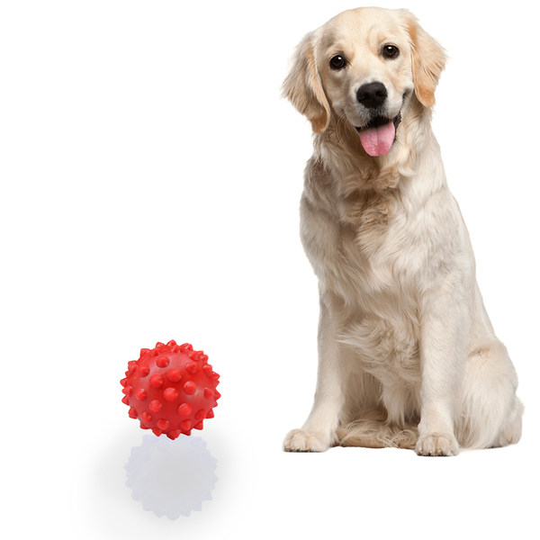 Bolinha  Cravo Para Cachorro Grande Brinquedo Pet 75mm - Verm