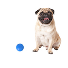 Bolinha Para Caes Pet Cachorro Interativa 60mm - Azul