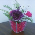 Bolinhas De Gel Rosa Para Plantas Top Garden