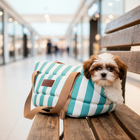 Bolsa Aberta para Cachorro e Gato M em Tecido Verde Fábrica Pet
