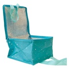 Bolsa Termica 9 Litros Kit 15 Und Marmita Lancheira Necessair