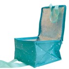 Bolsa Termica 9 Litros Marmita Lancheira Necessaire Fitness V