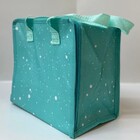 Bolsa Termica 9 Litros Marmita Lancheira Necessaire Fitness V