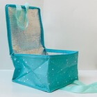 Bolsa Termica 9 Litros Marmita Necessaire Fitness Viagem Acad