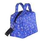 Bolsa Térmica + Chaveiro Ancora VI 014 Polaris