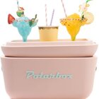 Bolsa Térmica Cooler Retrô Com Alça Em Couro 12 Litros - Pola