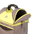 Bolsa Térmica Igloo Playmate 14 Litros 22 Latas  Com 2 Compar