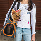 Bolsa Transporte Aéreo Pet Cabine De Avião Para Cães E Gatos