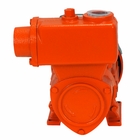 Bomba Água Autoaspirante Intech Machine Bpa500 Bivolt