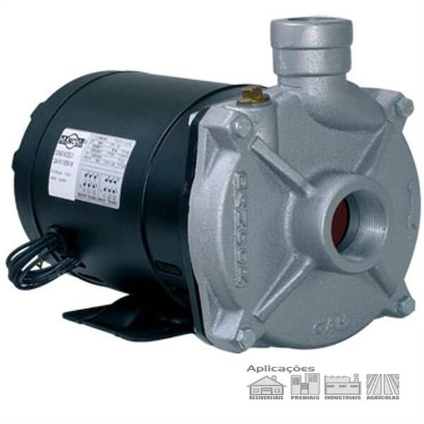 Bomba Centrifuga Dancor Cam-w10 Nema 48 1cv Monofasica 127v/2