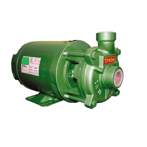 Bomba Centrífuga Monoestágio Th-11 1cv Monofásico Bivolt