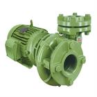 Bomba Centrífuga Schneider Bc-21 R 2 1/2 15 Cv Monofásica 220