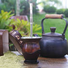 Bomba Chimarrão Tererê 21cm Aço Inox Bojo Mola Estampada N Sr