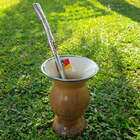 Bomba Chimarrão Tererê Aço Inox 23cm Com Rosca E Anel Com Pin