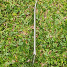 Bomba Chimarrão Tereré Lisa Sem Rosca 23cm Aço Inox Bomba Cha