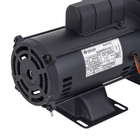 Bomba de Água Autoaspirante AP-3C 1CV Bivolt Dancor