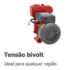 Bomba De Agua Autoaspirante Eletrica Bb500a 0,5cv Bivolt Bran