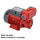 Bomba De Agua Autoaspirante Eletrica Bb500a 0,5cv Bivolt Bran