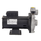 Bomba de Água Ejetora EP-2-0 1CV Bivolt Dancor