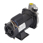 Bomba de Água Ejetora EP-2-0 1CV Bivolt Dancor