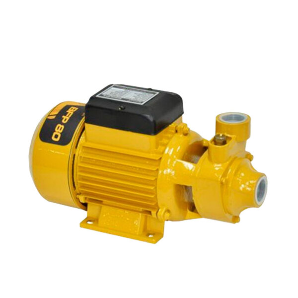 Bomba De Água Elétrica Periférica Monofásico Bfp80 1,0cv Buffalo ...