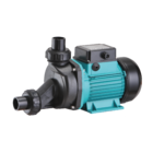 Bomba de Água Motobomba LSPA1300  220V