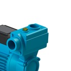 Bomba de Água para Piscina 1.2cv Bivolt DPA40 Dancor