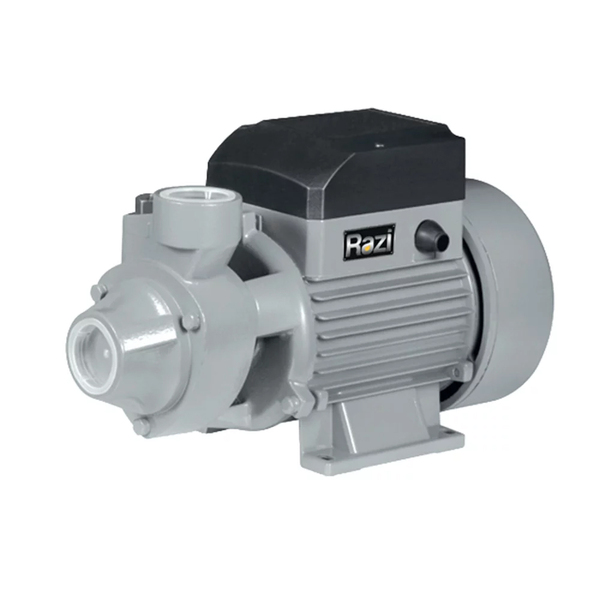 Bomba De Água Periférica 1/2cv 127v Razi