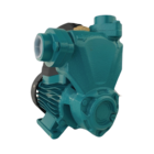 Bomba de Água Periférica APSM37 127V (110V)