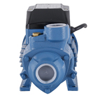 Bomba de Água Periférica DP-60 1/2CV Bivolt Dancor