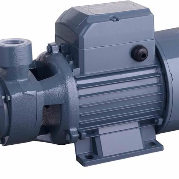 Bomba De Água Periférica Monofásica Bivolt 1 Hp Com Protetor