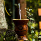 Bomba De Chimarrão 25cm Aço Inox Bomba Anel Com Escovinha