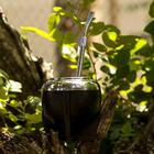 Bomba De Chimarrão Com Anel Superior 19cm Bojo Pera Ferro Tau