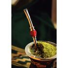 Bomba De Chimarrão Tramontina Ilex Em Aço Inox Com Rosca E Pe