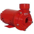 Bomba De Incêndio Schneider Bpi-92 S R 2.1/2  1 5 Cv Trifásic