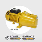Bomba Elétrica Auto-aspirante Bfa 55-fe 1cv Monofásico Buffalo