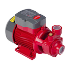 Bomba Elétrica Periférica BB 1000P 1,0CV 127V Branco