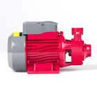 Bomba Elétrica Periférica BB 500P 0,5CV 127V Branco