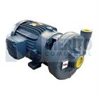 Bomba Mark Grundfos Dh-4c 1cv Monofasica 110/220v Unica U