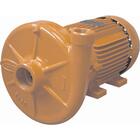 Bomba Monoestagio Jacuzzi 3dm1   3cv Trifasica 220/380v Unica