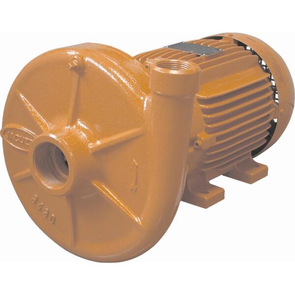 Bomba Monoestagio Jacuzzi 3dm1   3cv Trifasica 220/380v Unica