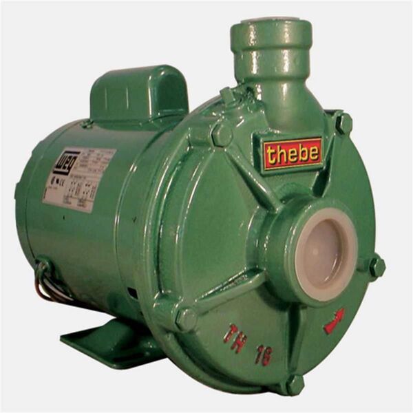 Bomba Monoestágio Tha-16br 3/4cv Monofásico Bivolt
