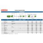 Bomba Multiestágio Schneider Me-in 1315 N  1 5 Cv Trifásica R